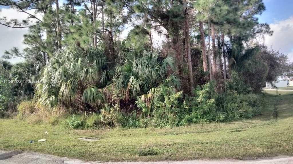 Photo of 1768 SW Aztec Ave, Port Saint Lucie, FL 34953 (MLS # A11349623)