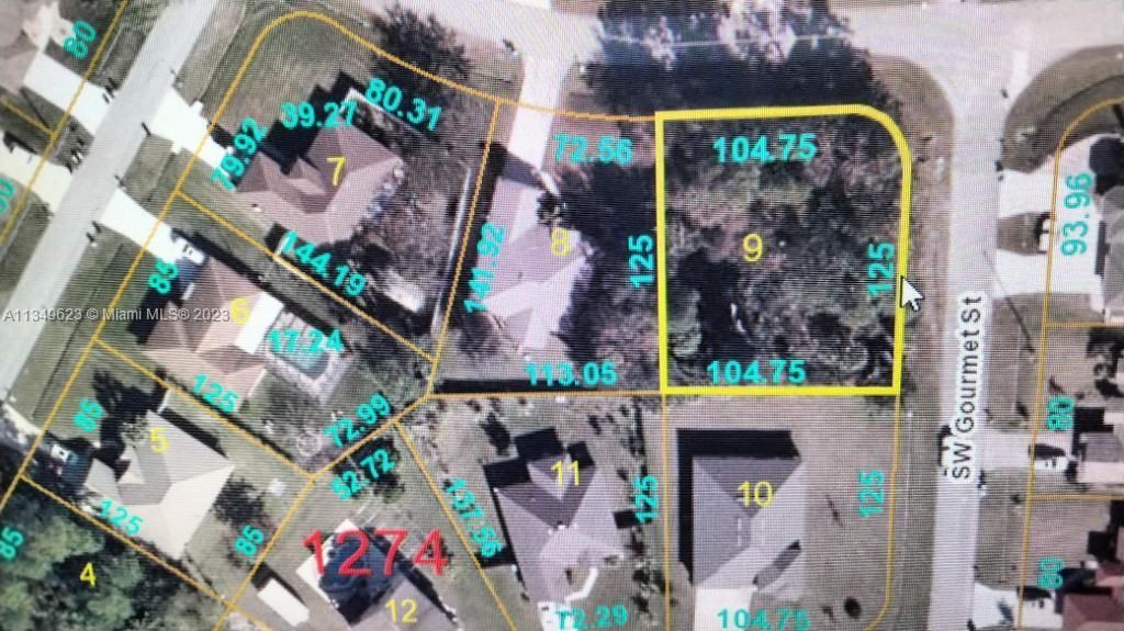 Photo of 1768 SW Aztec Ave, Port Saint Lucie, FL 34953 (MLS # A11349623)