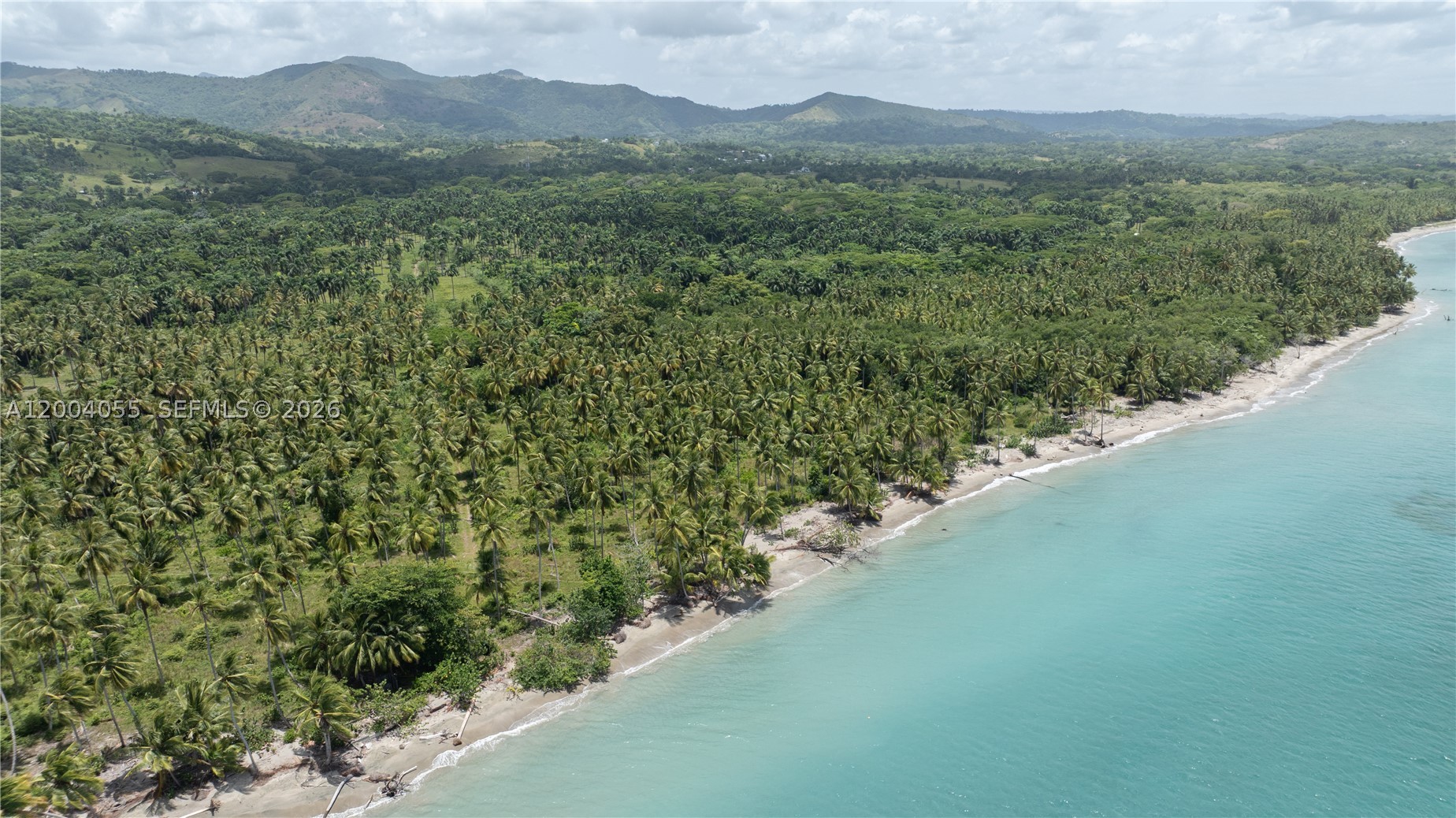PLAYA MAGANTE