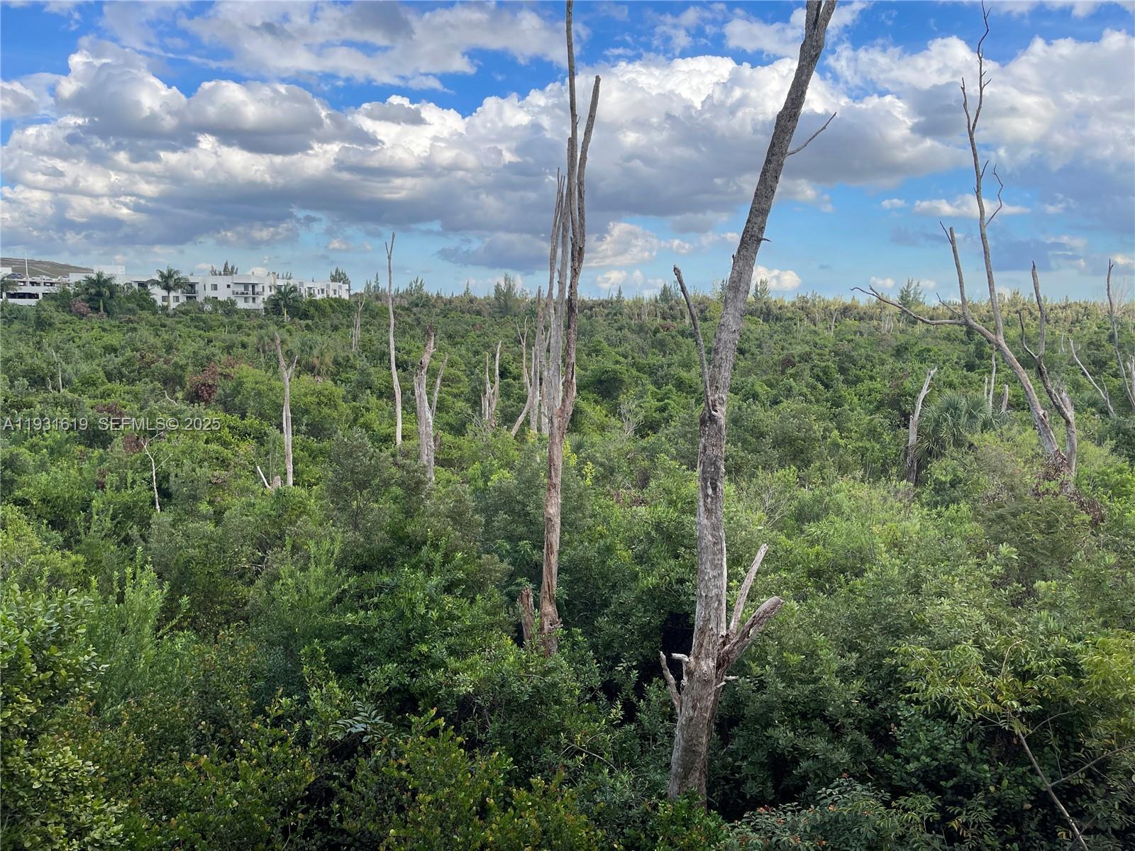 APEX AT PARK CENTRAL COND - Residential Lease