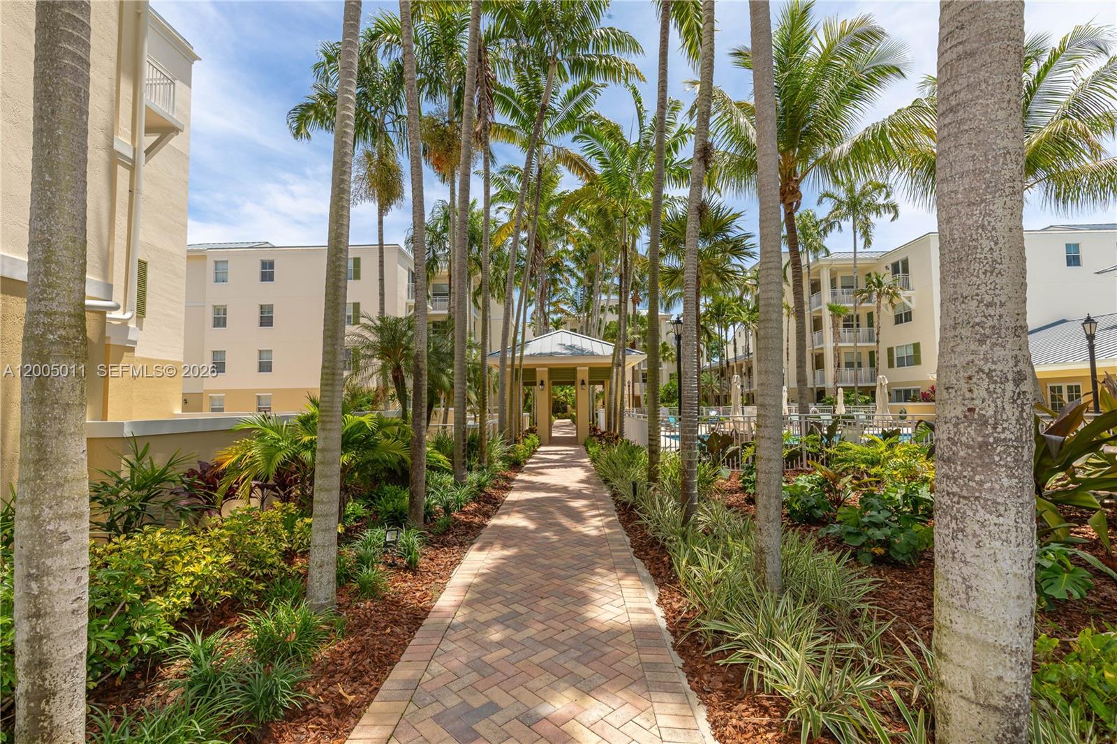THE RESERVE OF PINECREST - Residential