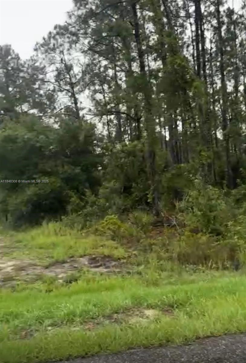 Lee County Unincorporated - Land