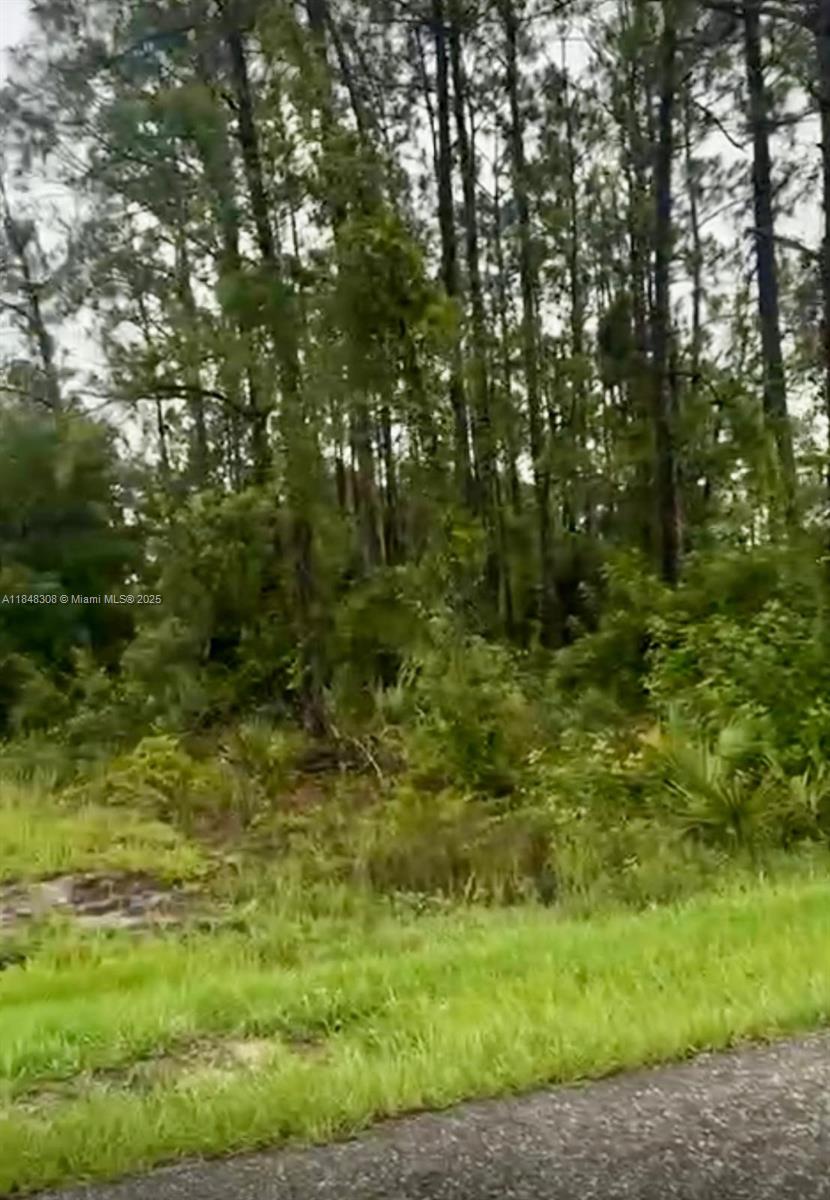 Lee County Unincorporated - Land