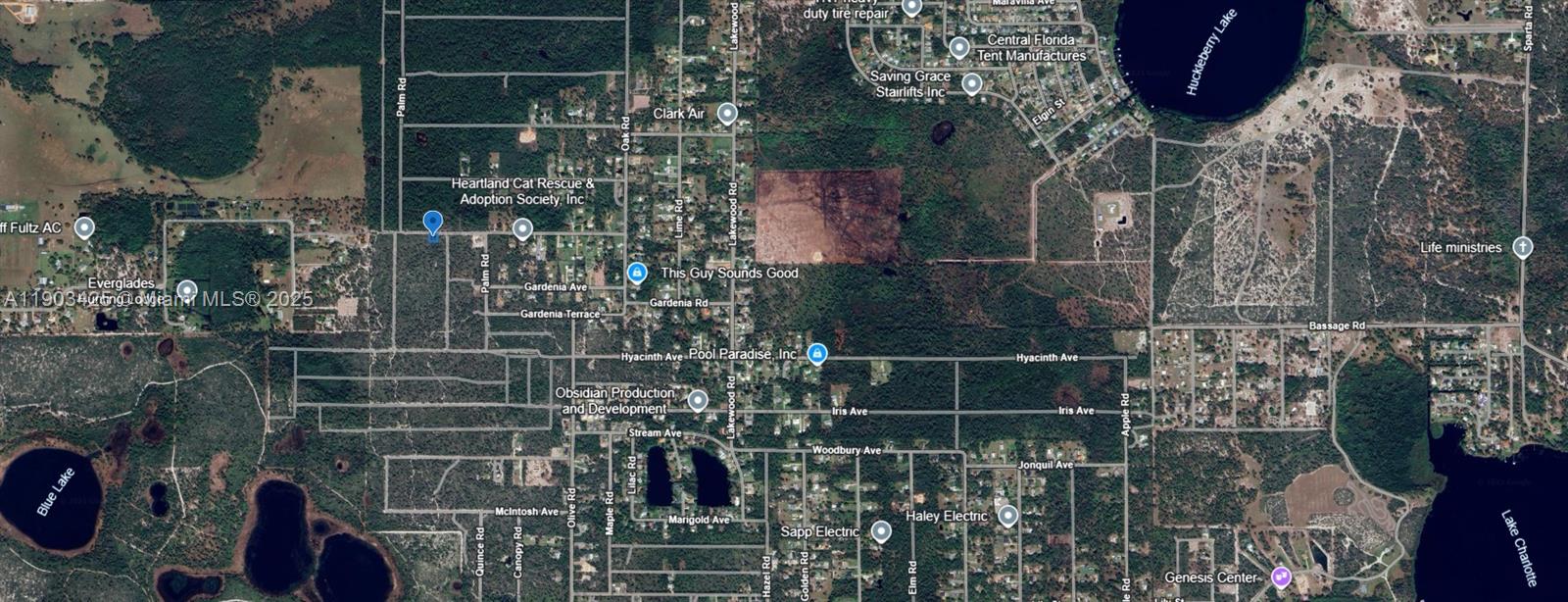 ORANGE BLOSSOM EST - Land