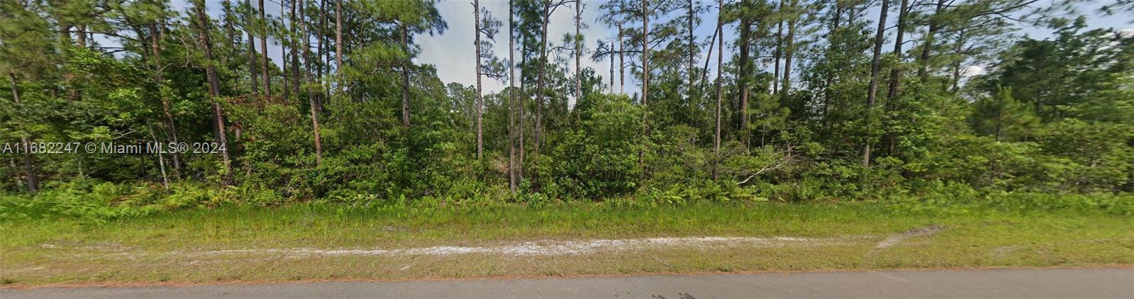 SUN N LAKE EST OF SEBRING - Land