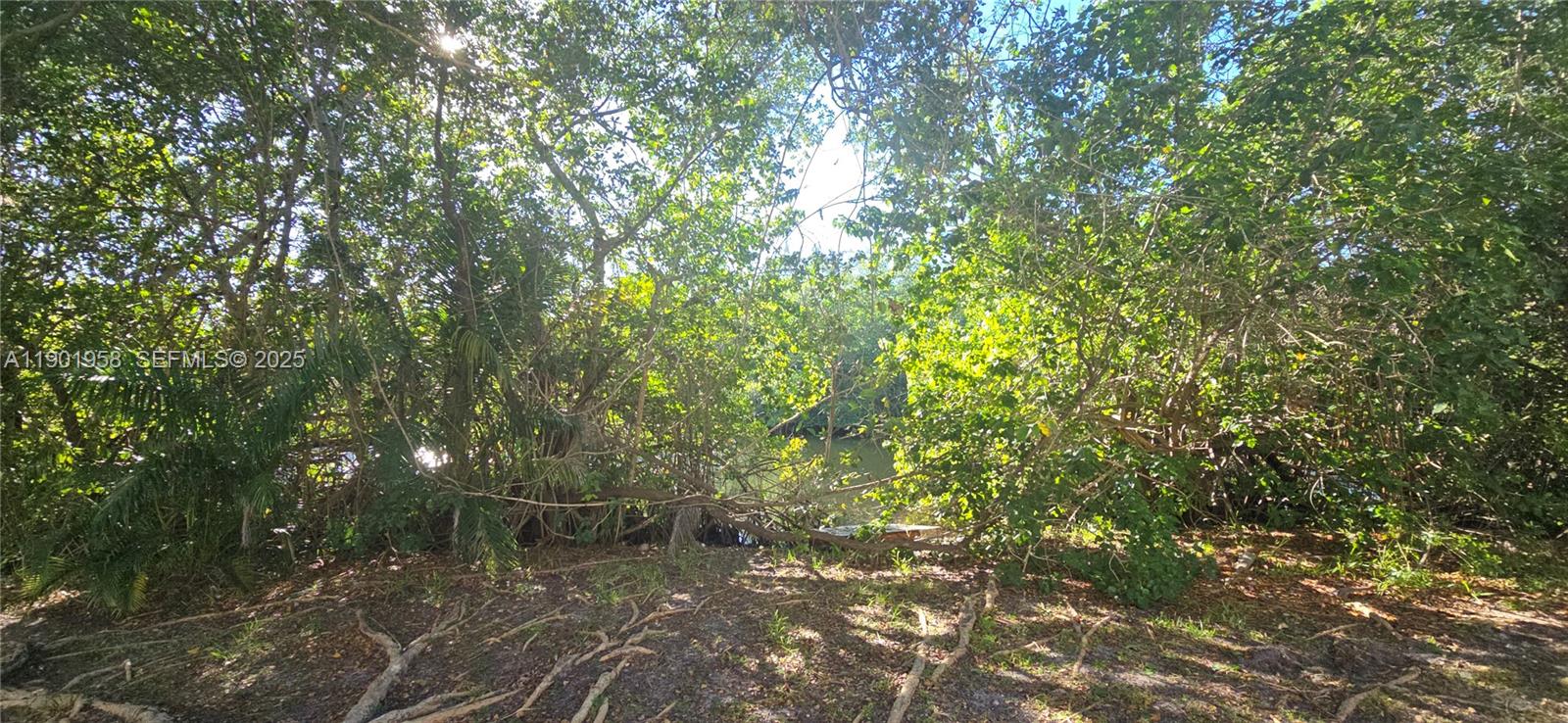 GREYNOLDS PARK CLUB CONDO - Residential