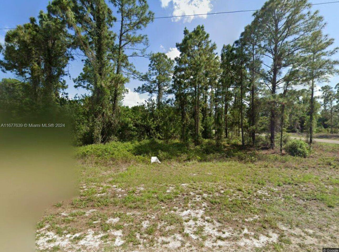 Lee County - Land