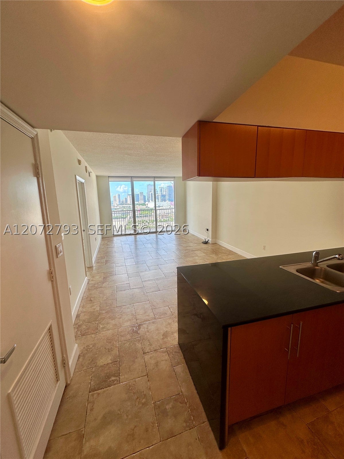 1750 N Bayshore Dr 2406