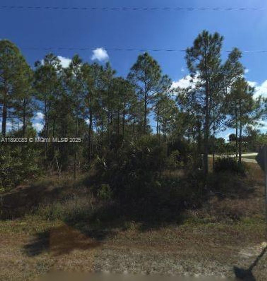 0.25 Acres. Great opportunity to own a quarter-acre residential corner lot, near the new constructions and  Joel Blvd, in the community of Lehigh Acres! Build your dream home or invest in the future.