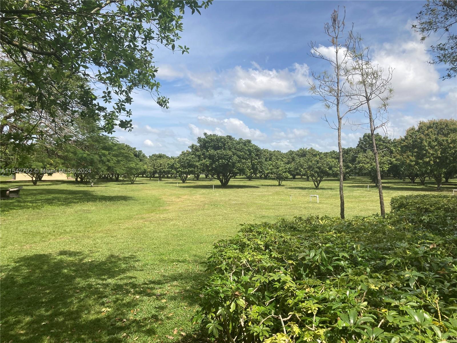 REDLANDS - Residential