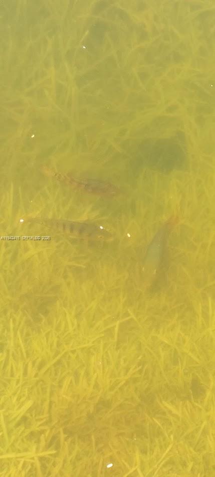 ROYALE GREEN TOWNHOUSE SE - Residential