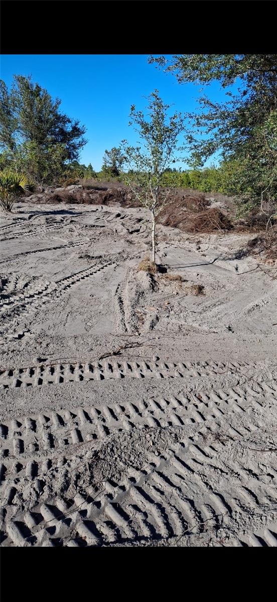 LEHIGH ACRES - Land