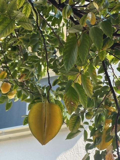 PELICANS POINT A T MILLER - Residential