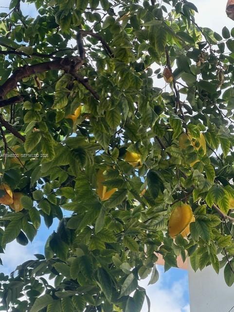 PELICANS POINT A T MILLER - Residential