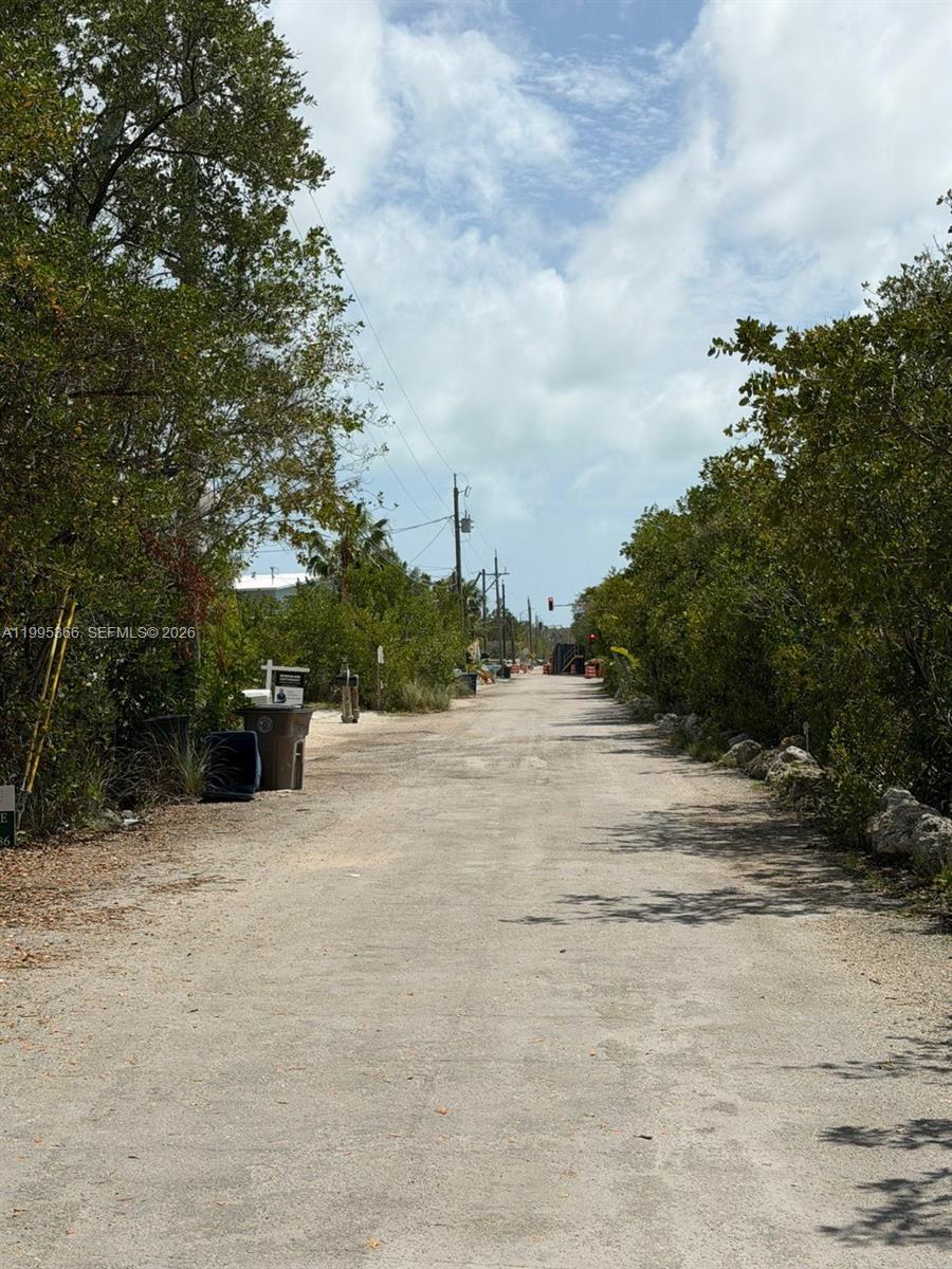 TWIN LAKES 1ST ADD - Land