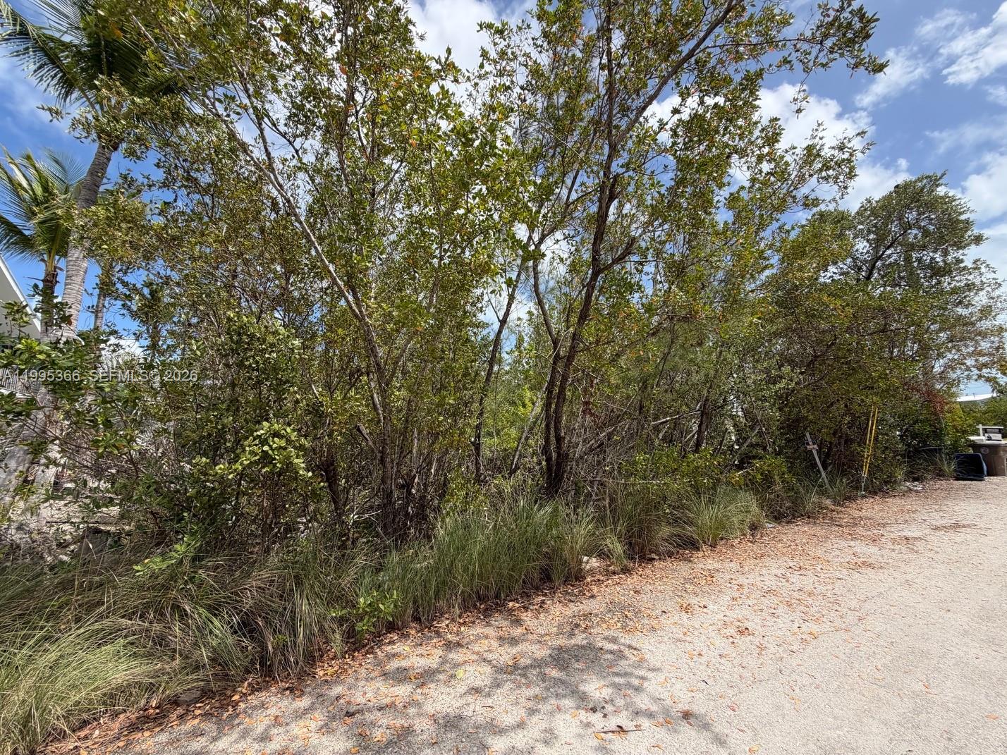 TWIN LAKES 1ST ADD - Land