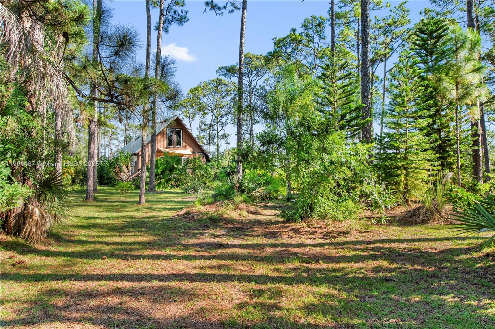 Orange Blossom Acre Lots - Residential