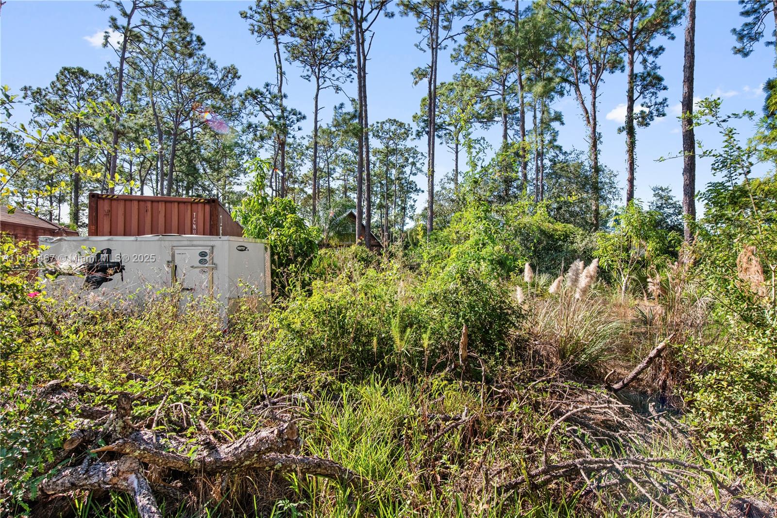 Orange Blossom Acre Lots - Residential