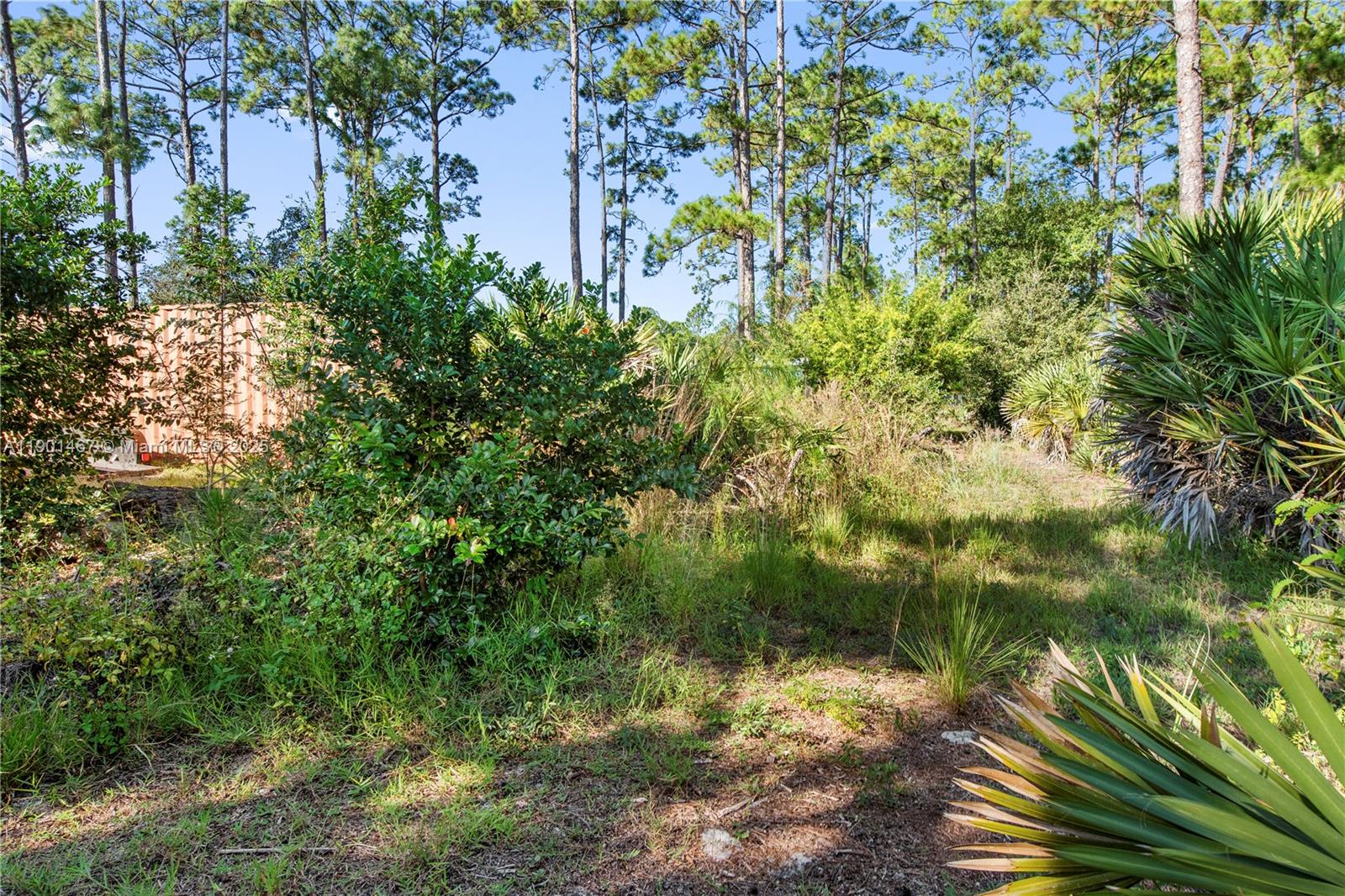 Orange Blossom Acre Lots - Residential
