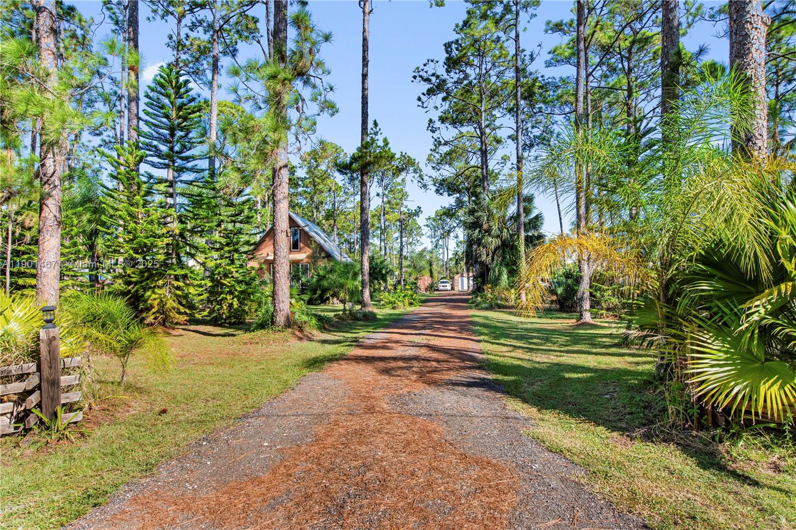 Orange Blossom Acre Lots - Residential