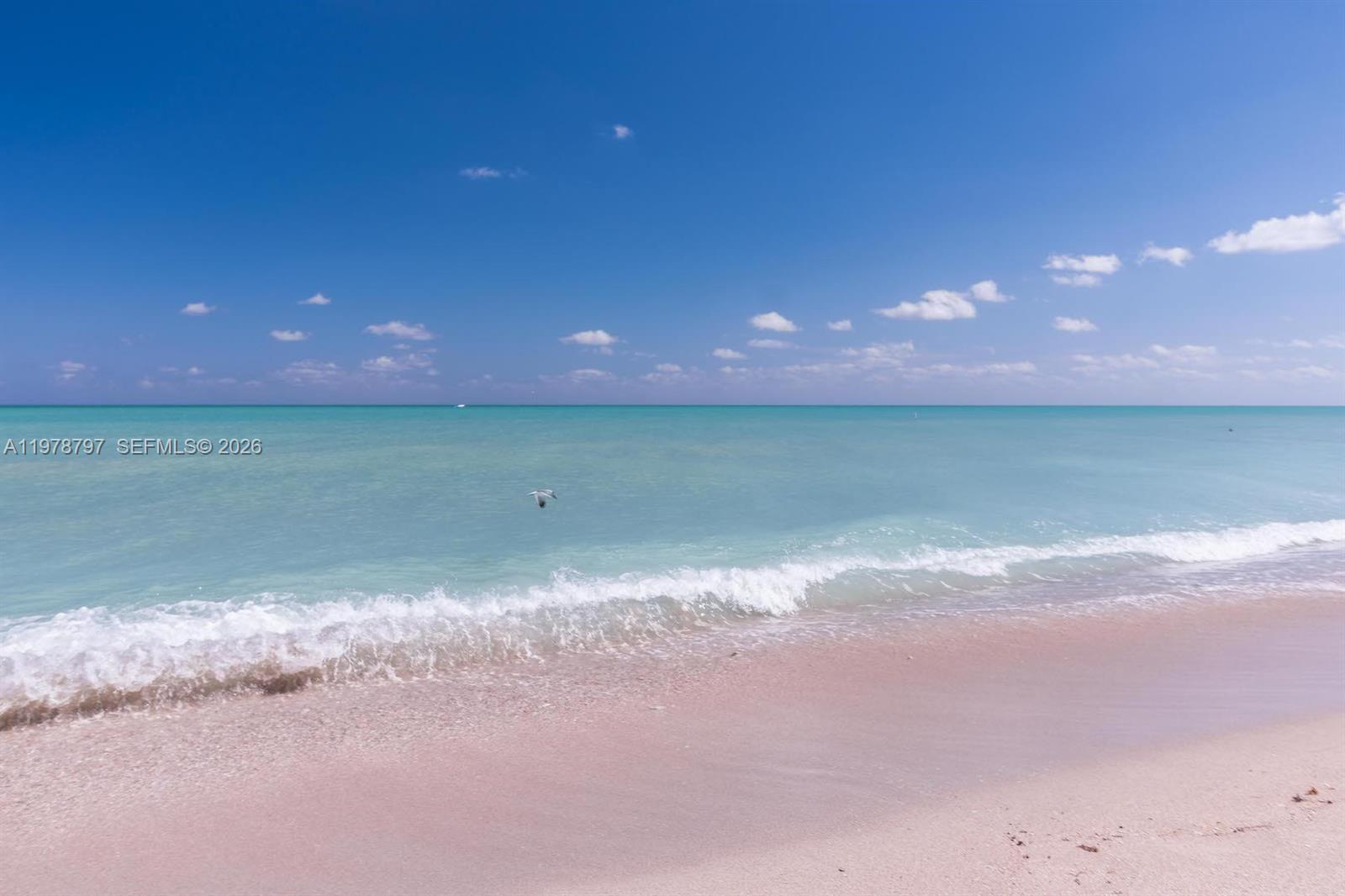 CARLISLE ON THE OCEAN CON - Residential Lease