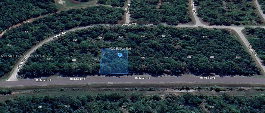 OWNER WILL FIANANCE!! 3K DOWN, 275.24 FOR 60 MONTHS!! ON PAVED ROAD!! Vacant residential lot offering a prime opportunity for custom home construction or early investment in a growing community. Balboa Blvd is located with plenty of activities nearby. It’s just a short drive from the beautiful Balboa Park, a vibrant space perfect for picnics, walking trails, and outdoor sports. The nearby Sepulveda Basin Recreation Area offers even more outdoor fun, including golf courses, tennis courts, and bird-watching spots. If you're into water activities, the Lake Balboa area is great for kayaking and fishing. For those who enjoy shopping and dining, the Balboa Blvd corridor has plenty of local shops, cafes, and restaurants.