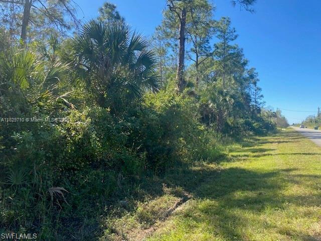 Golden Gate Estates - Land