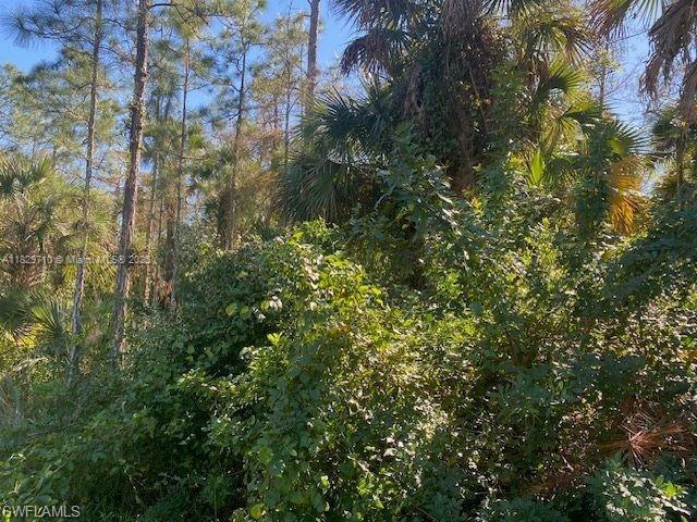 Golden Gate Estates - Land