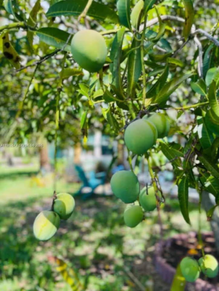 LAKE WORTH TOWN OF - Residential