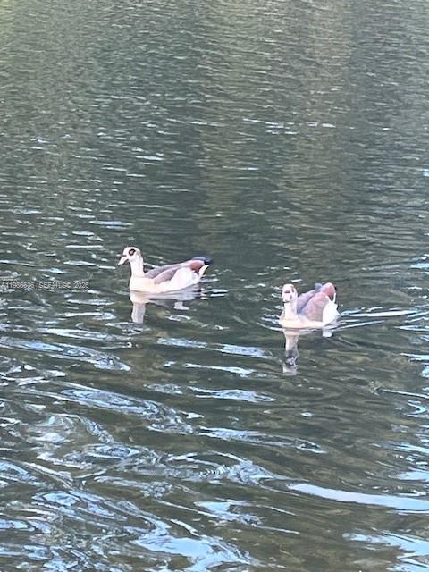 TALL TREES CONDO - Residential