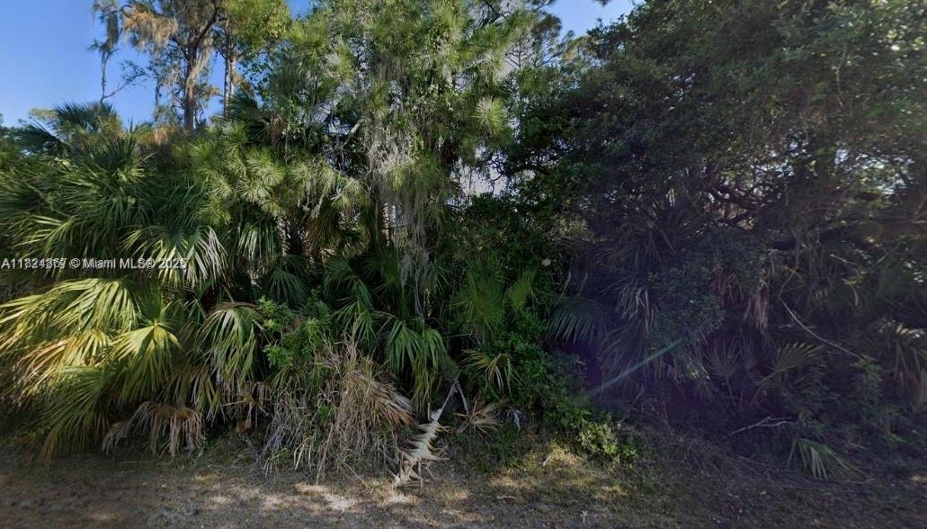 PORT CHARLOTTE - Land