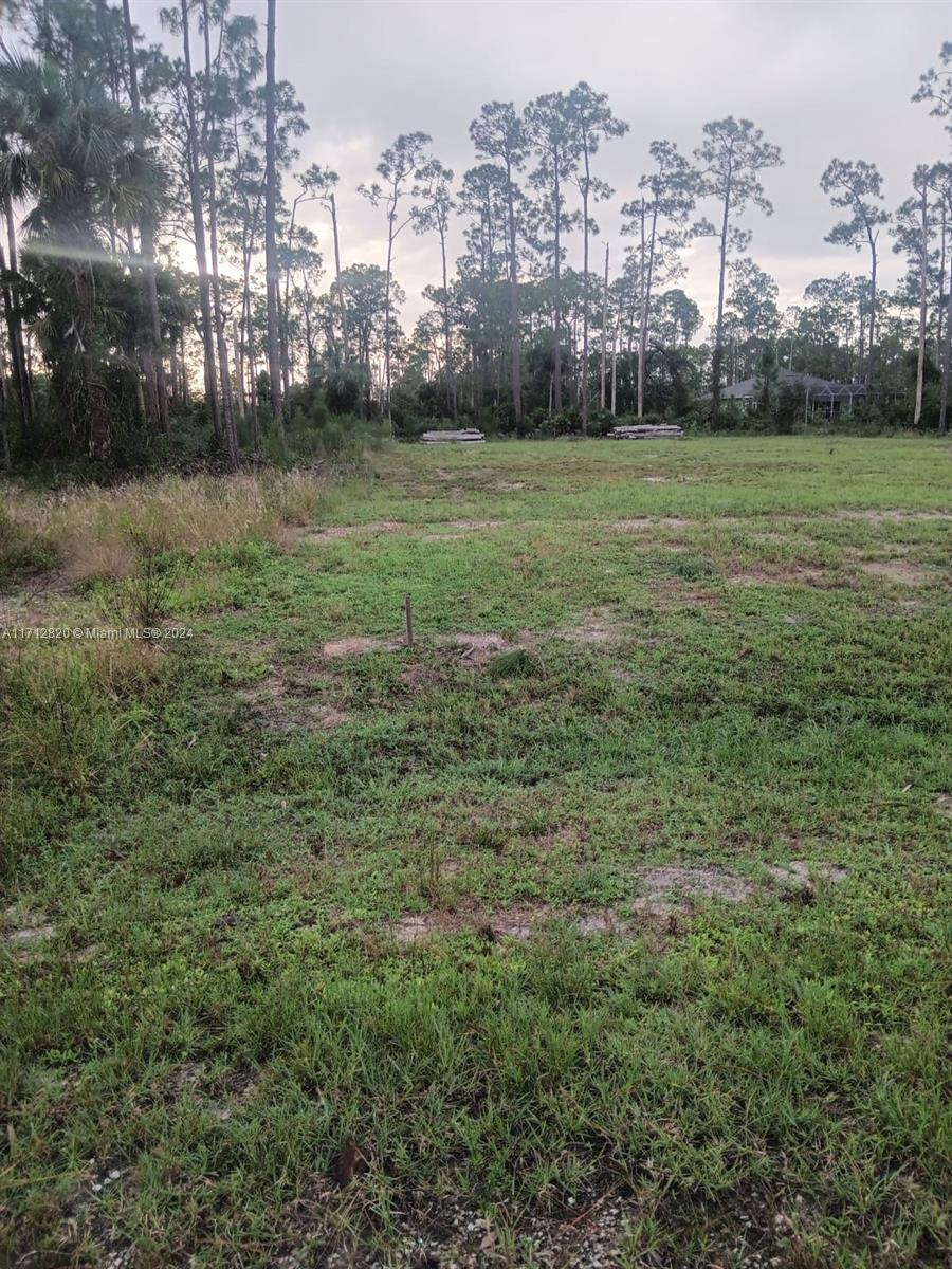 Don't miss this great opportunity to purchase a large, fully cleared 0.5-acre lot in the growing city of Lehigh Acres