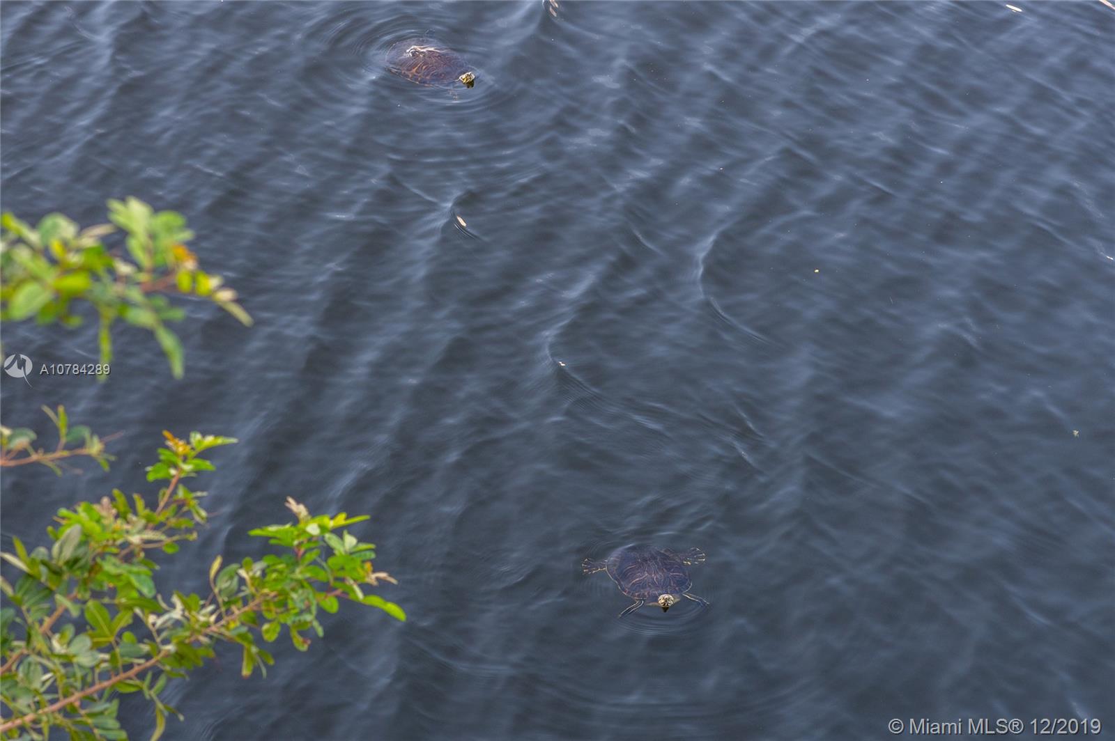 BUCKLEY TOWERS CONDO - EA - Residential Lease