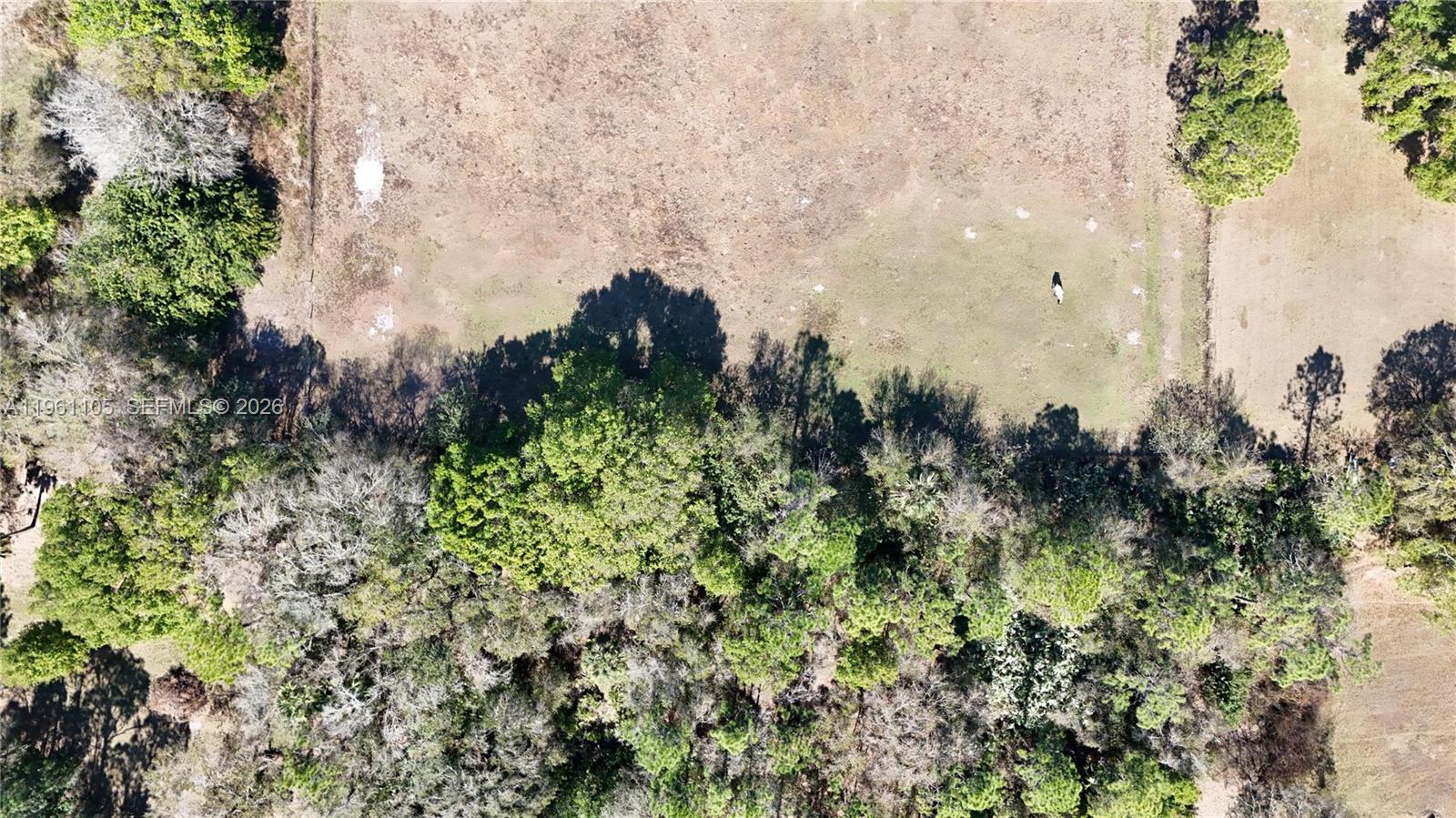 WHISPERING PINES - Land