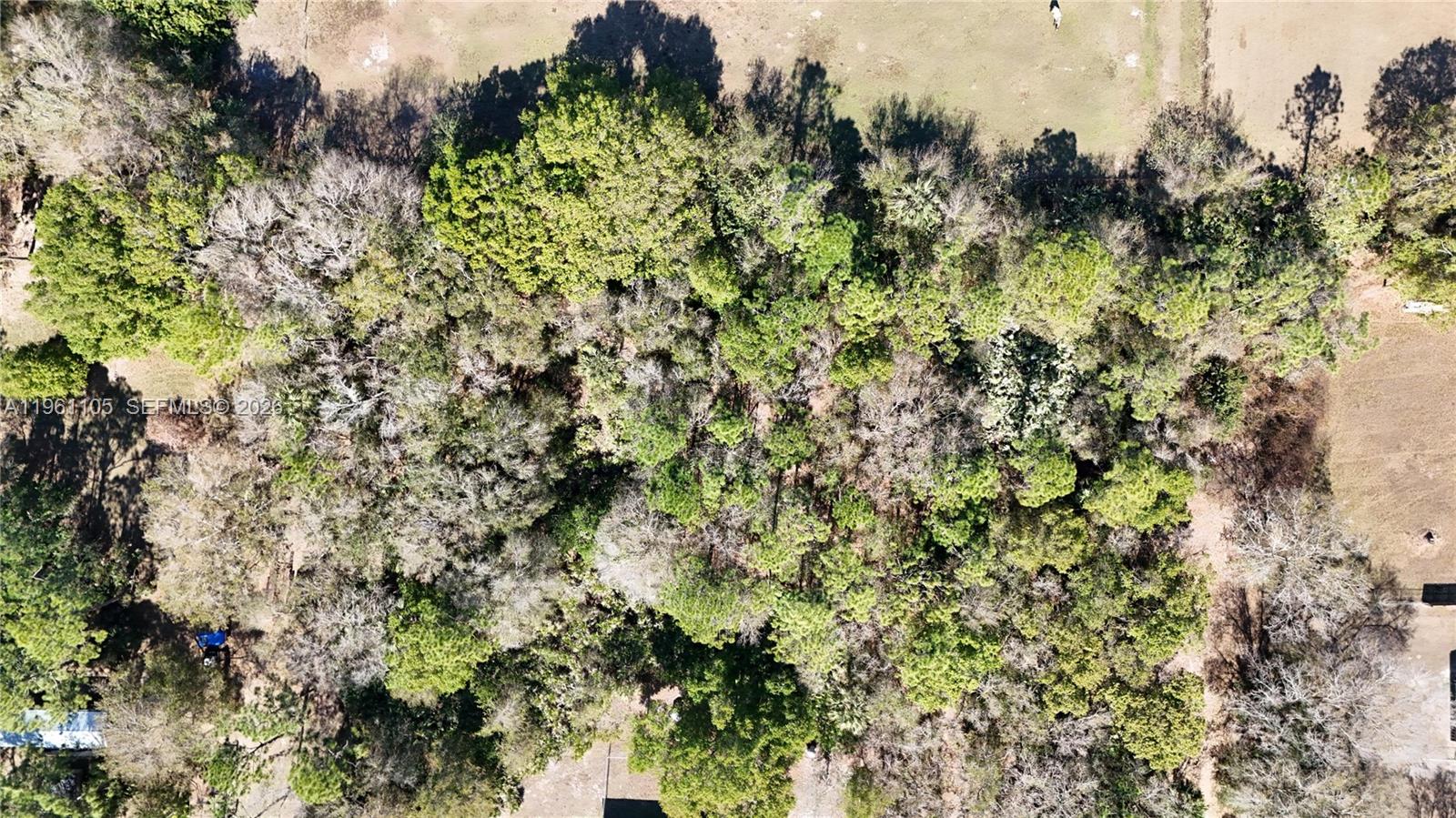 WHISPERING PINES - Land