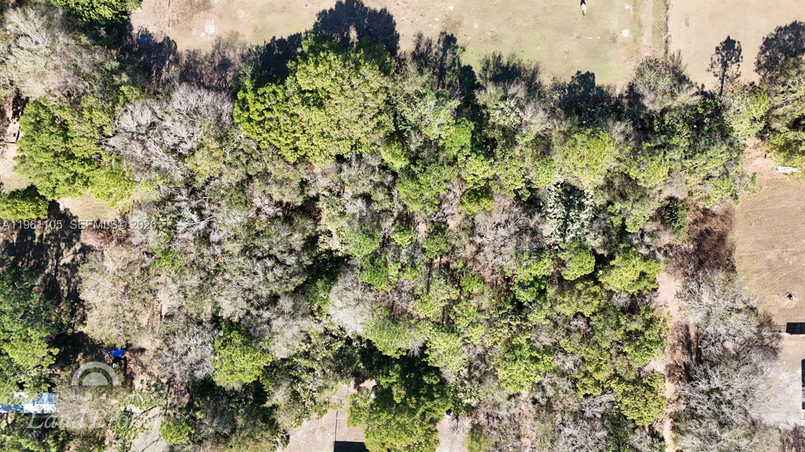 WHISPERING PINES - Land