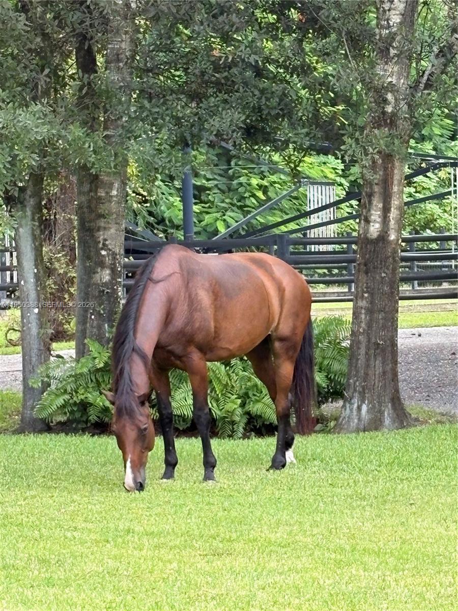 LOXAHATCHEE GROVES - Residential