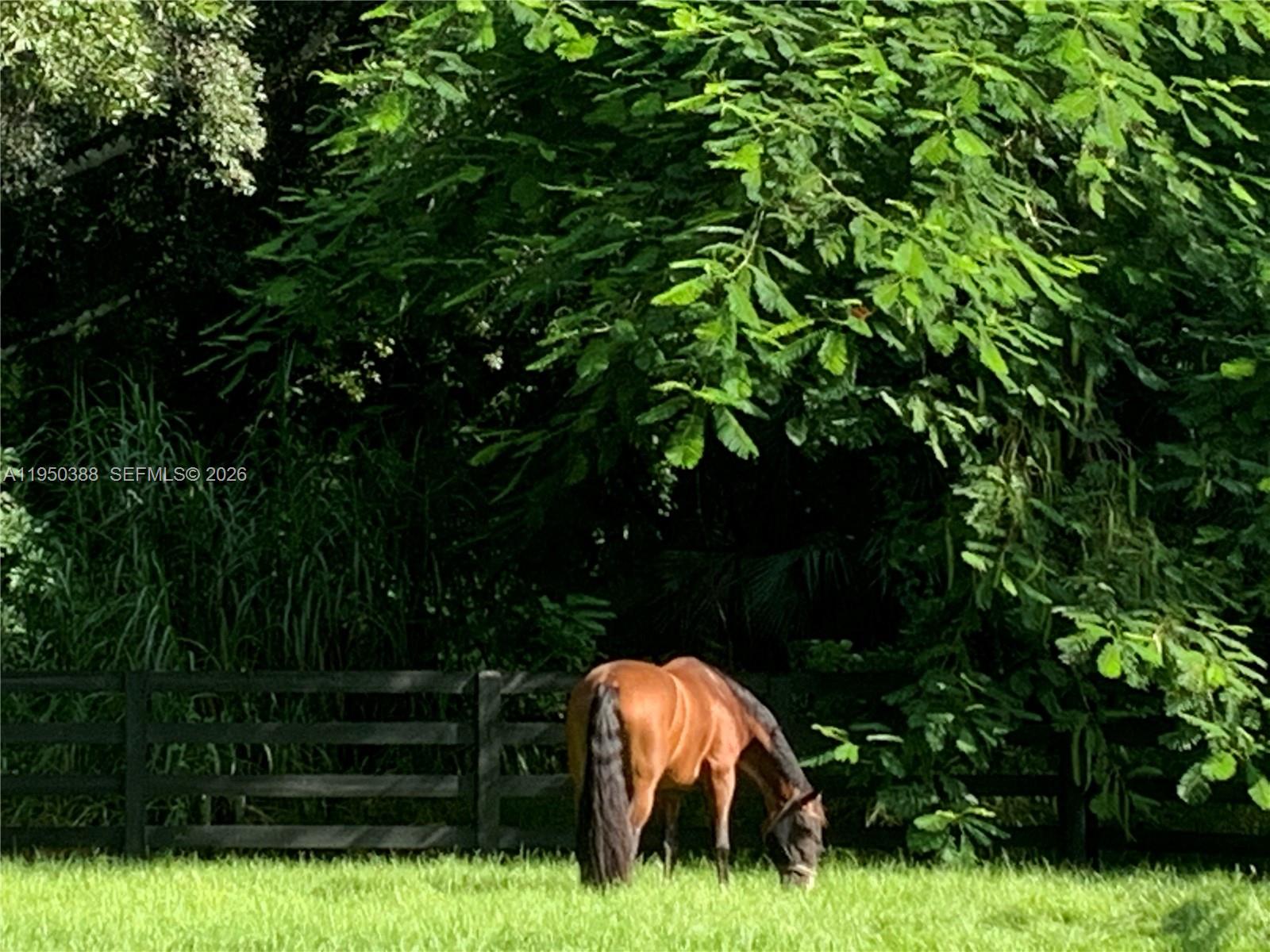 LOXAHATCHEE GROVES - Residential