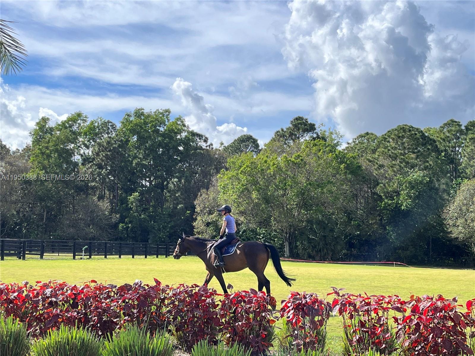 LOXAHATCHEE GROVES - Residential