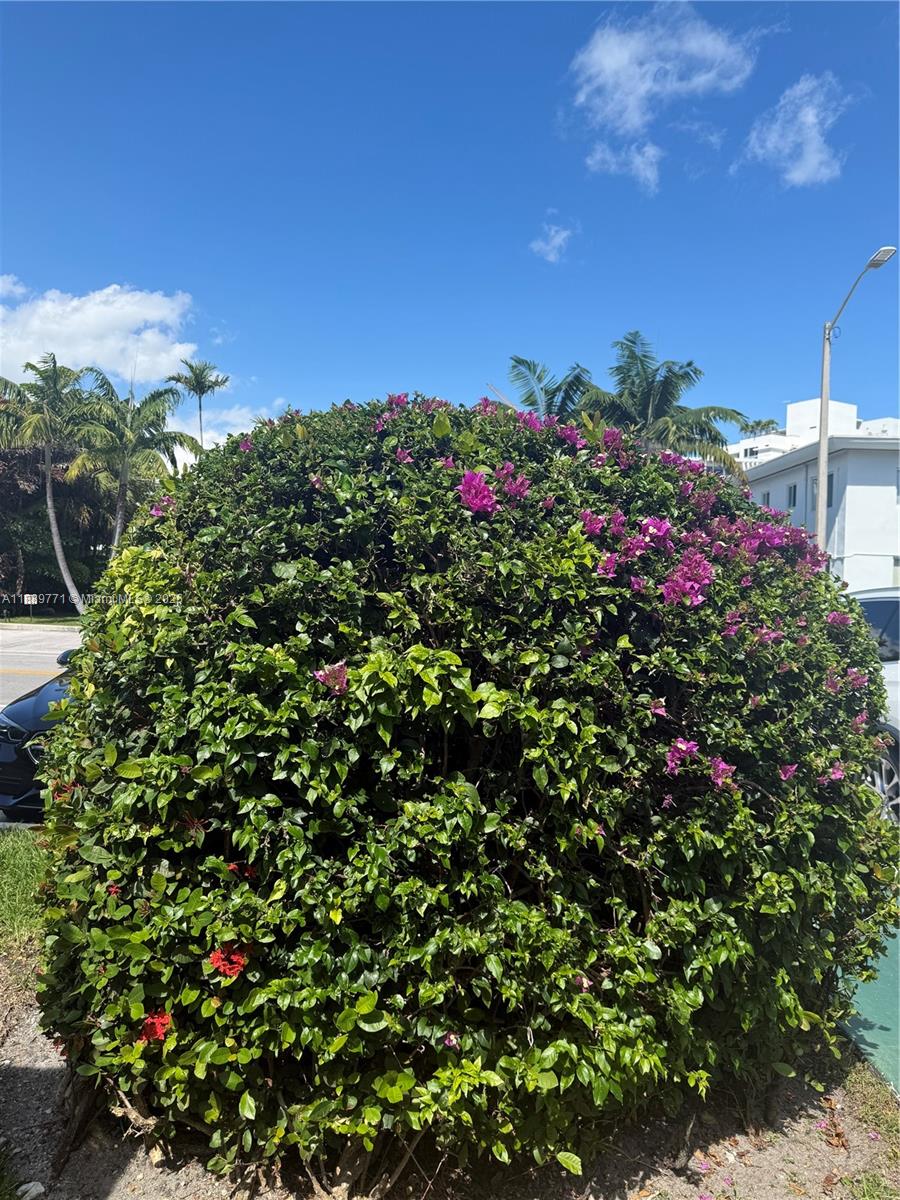 1060 CO-OP APTS INC - Residential Lease