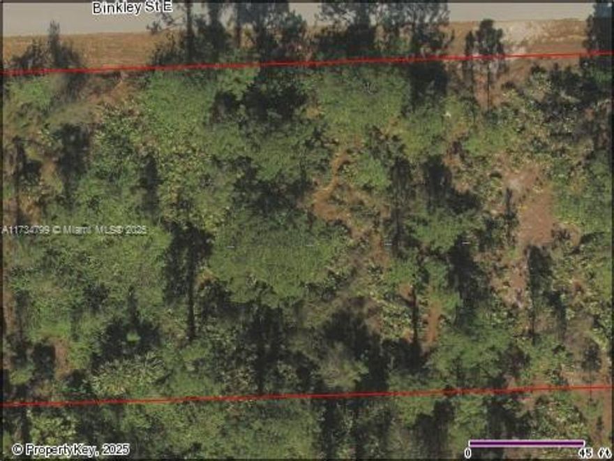 You can build 3 duplexes here, we can also split the land in 3, each lot would be $50k. Discover a rare investment opportunity with this expansive 1-acre residential land, perfectly zoned for duplex development. Located in a serene, non-flood zone, this parcel allows for the construction of up to three duplexes, making it an ideal choice for savvy investors and builders looking to capitalize on the growing housing demand.
This desirable property boasts a tranquil setting, with ample space to create a welcoming community while enjoying the benefits of modern living on septic and well water systems. The area is known for its peaceful atmosphere and friendly neighborhoods, offering an excellent quality of life for future residents.