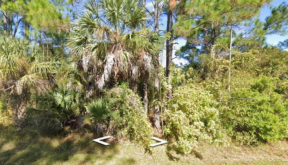 SOUTH PUNTA GORDA HGTS - Land