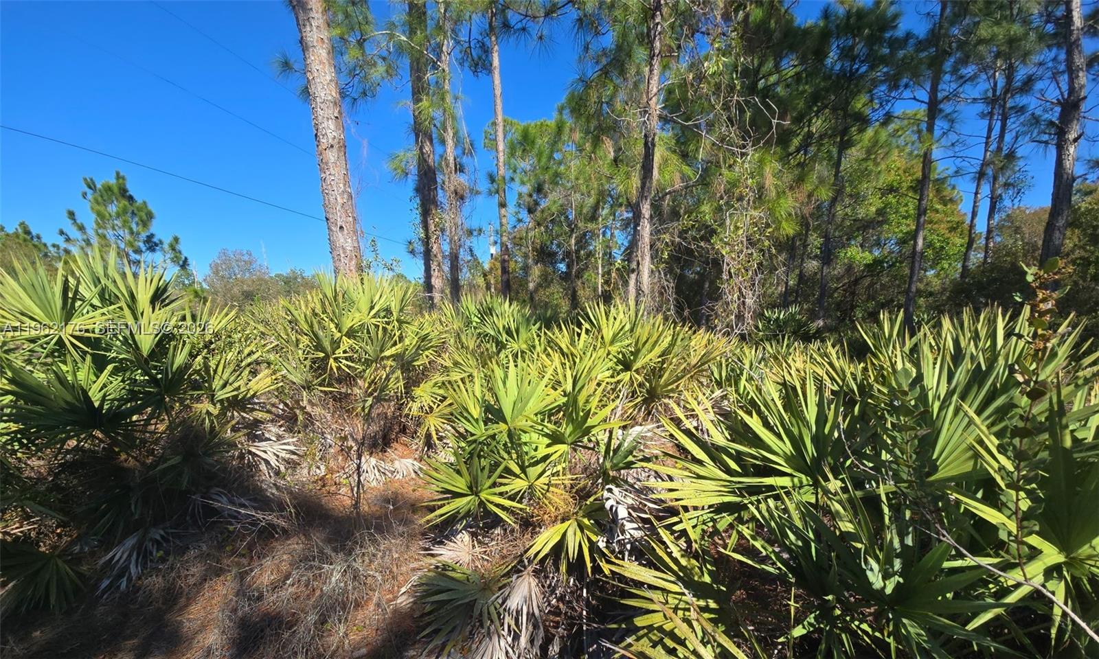 Montura Ranch Estates - Land