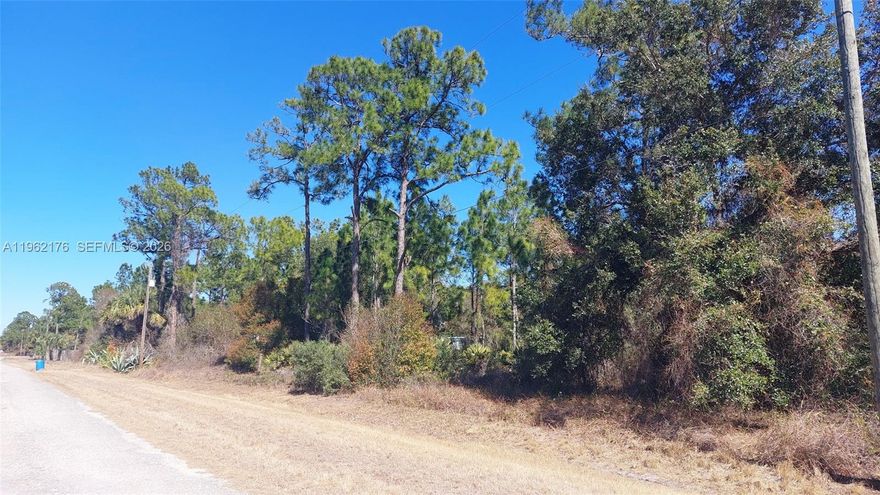 1.25 Acre Parcel in Montura Ranch Estates Very High & Dry in Flood Zone X No Wetlands on a Milling Paved Road. Relish the Rural Lifestyle nestled between all the top South Florida Costal Counties with quick access to CR833, SR80, US27, CR846, CR832, CR835, I-75. These Roadways makes it easy to swiftly arrive towards surrounding towns & locations like Clewiston, LaBelle, Immokalee, Big Cypress Reservation, Lake Okeechobee & close enough Miami, Ft Lauderdale, West Palm, Naples, Ft Myers, for rapid getaways from large Metro areas. Ready to make plans and use as a Personal Recreation parcel or build your dream Cabin, Barndominium, Mobile, Modular, CBS or Frame Home as desired. Hendry County does not permit Container Homes any longer. No HOA although Montura offers a great Clubhouse & Recreational Facility for property owners with Swimming Pool, Picnic Cabanas, Basketball, Soccer/Futbol Field, Game Tables and more. CCWDC oversees maintenance of al the canals, drainage & culvert swells plus the 2400+ Acre Reservoir accessible to property owner for Camping, Hiking, Hose Back Riding, Recreational & Hunting. This is all funded through the Property Tax Assessment owner pay to Hendry County every year. Need more Info? Feel Free to Contact me.