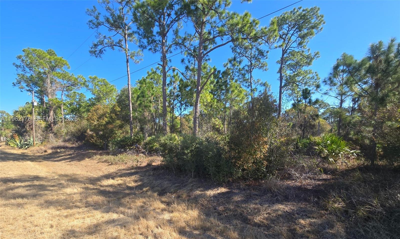 Montura Ranch Estates - Land