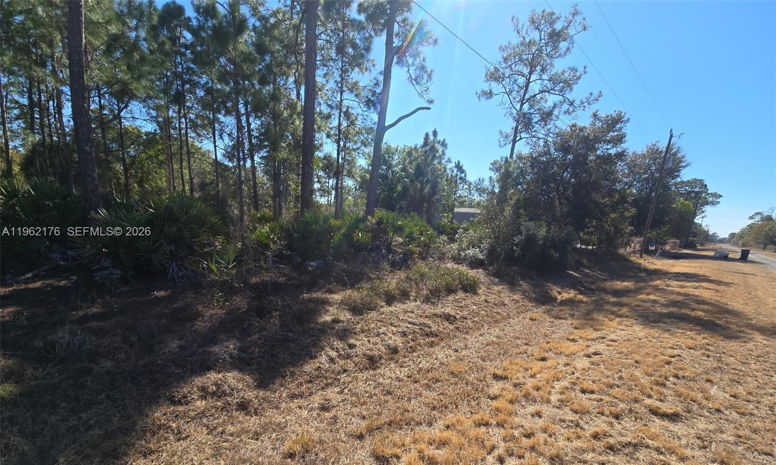 Montura Ranch Estates - Land