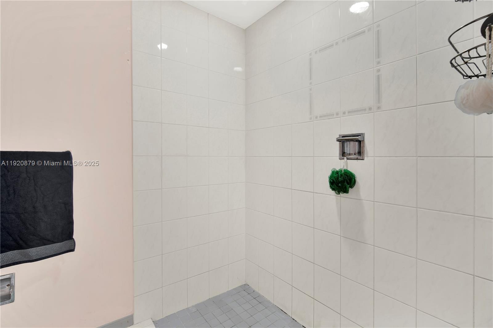 BISCADO ESTS SEC 1 - Residential