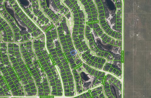 234 Rhythm Drive Lake Placid FL 33852