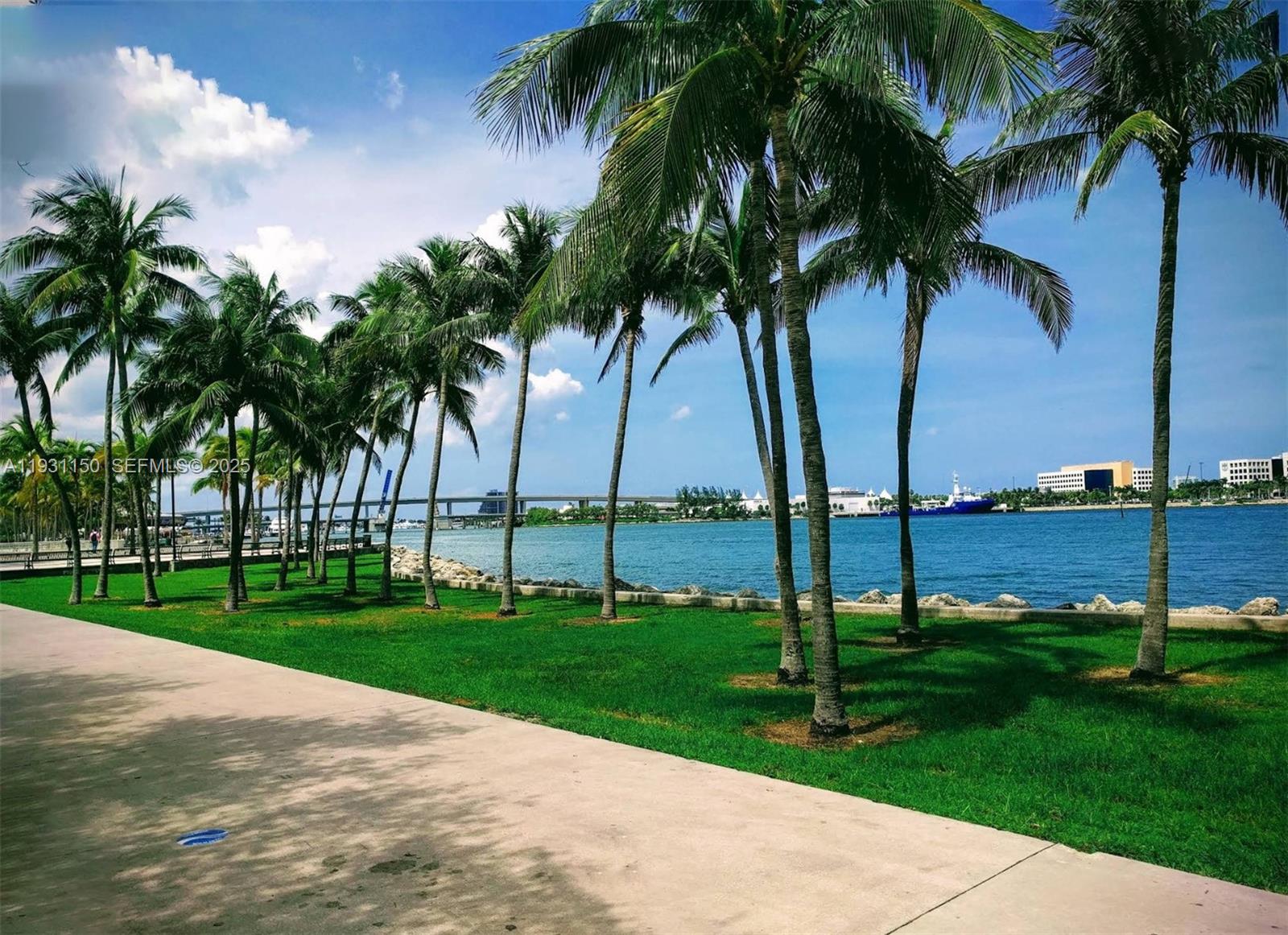 THE LOFT DOWNTOWN II COND - Residential