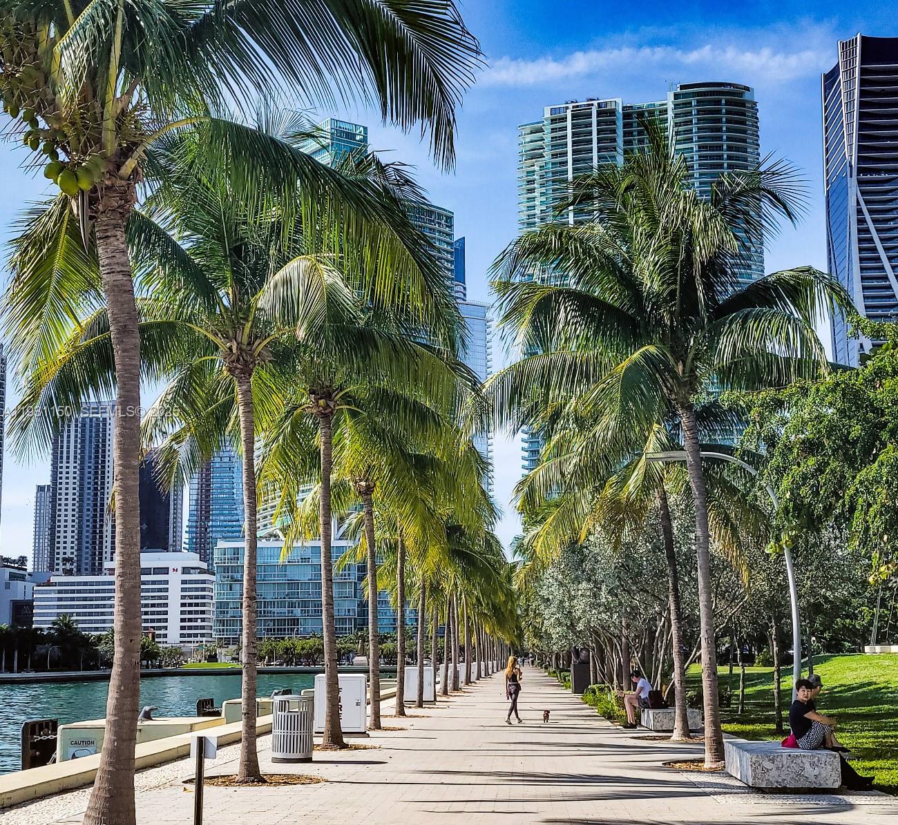 THE LOFT DOWNTOWN II COND - Residential